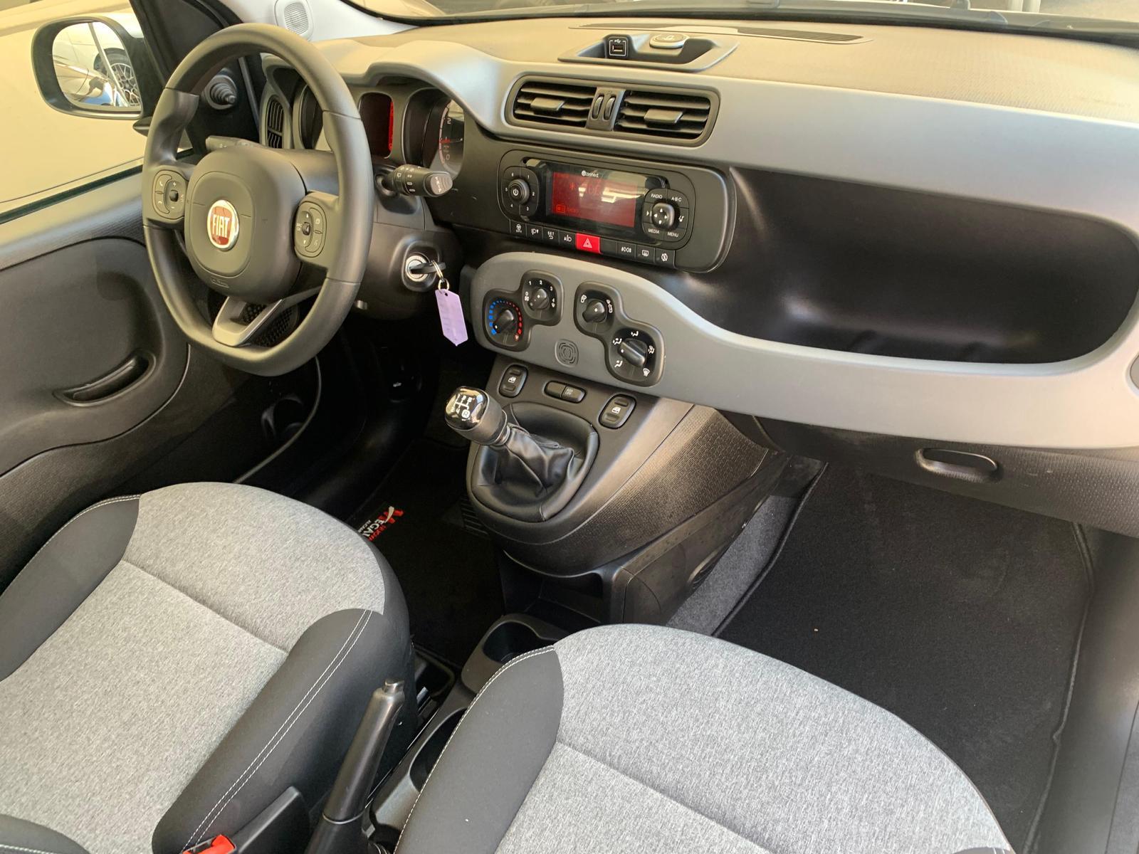 Fiat Panda 1.2 8v Lounge - Nuova Megauto srl